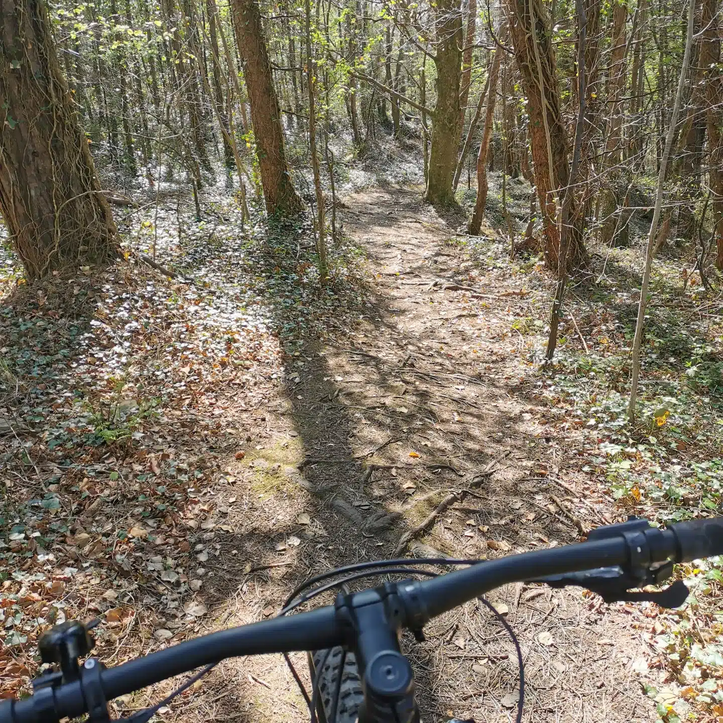 couple-biking-in-sligo