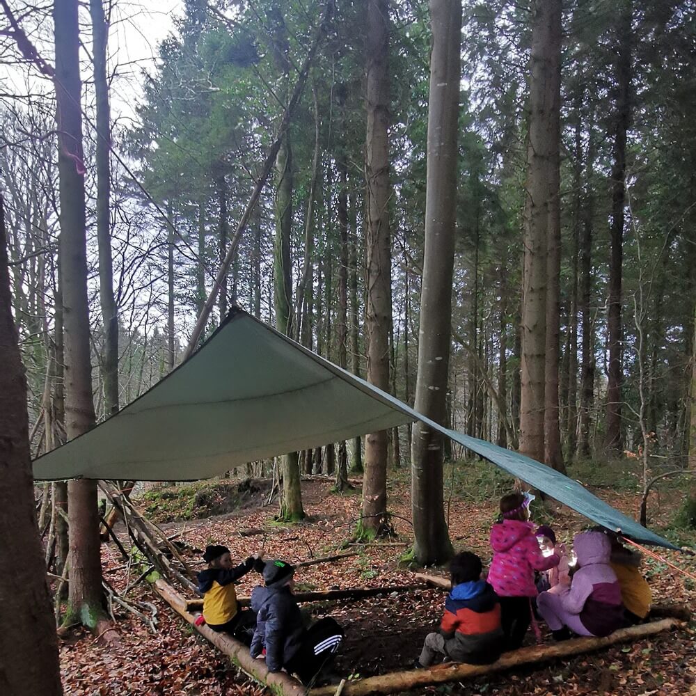 kids-forest-photo-op-sligo