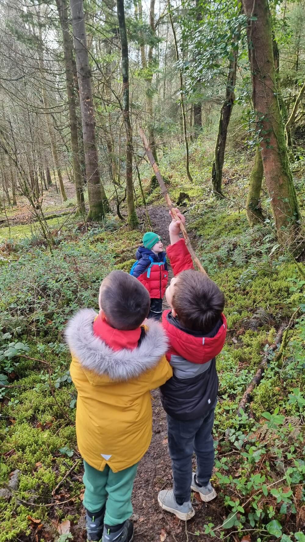 wildlife-tracking-for-kids-sligo