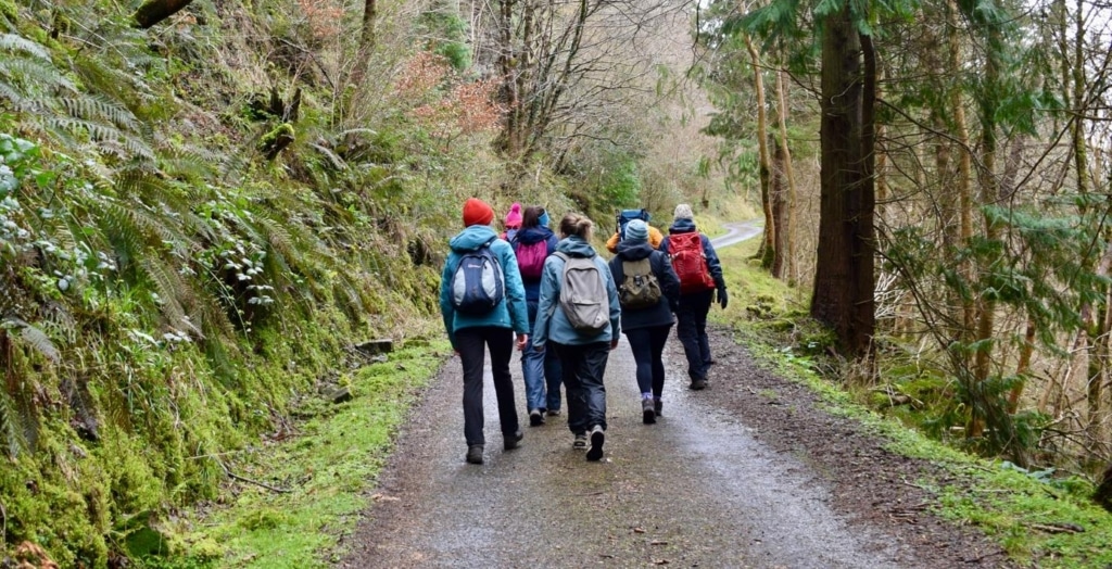 group of people with backpacks in the forest
